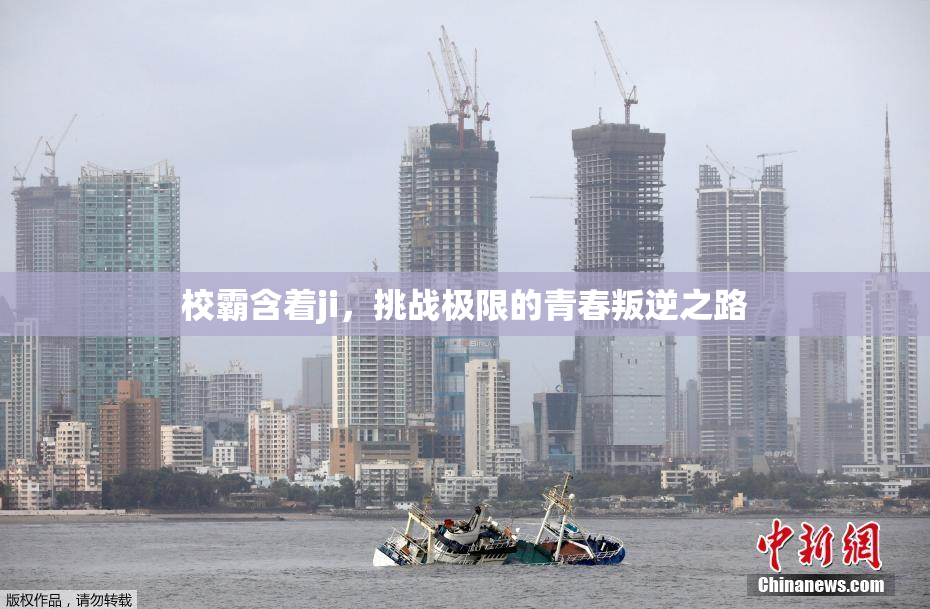 校霸含着ji，挑战极限的青春叛逆之路
