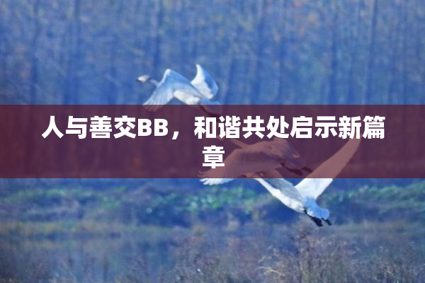 人与善交BB，和谐共处启示新篇章