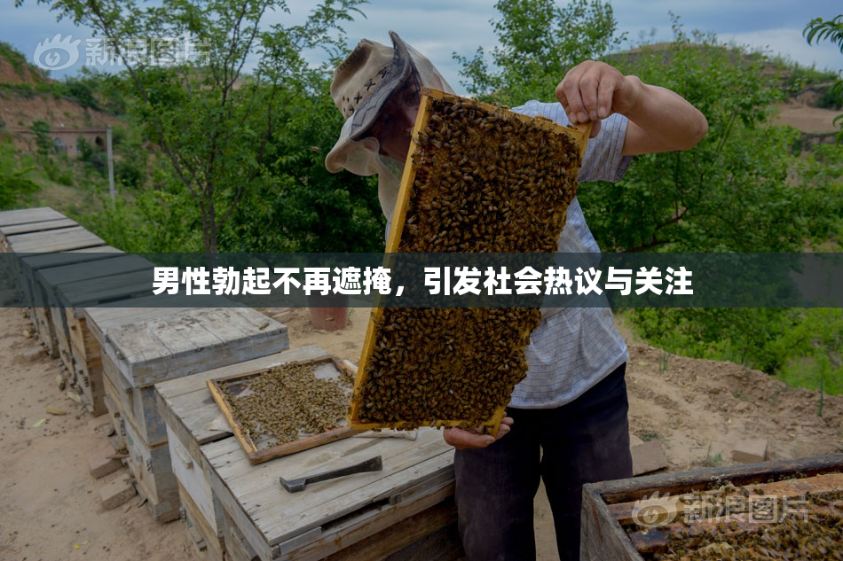 男性勃起不再遮掩，引发社会热议与关注