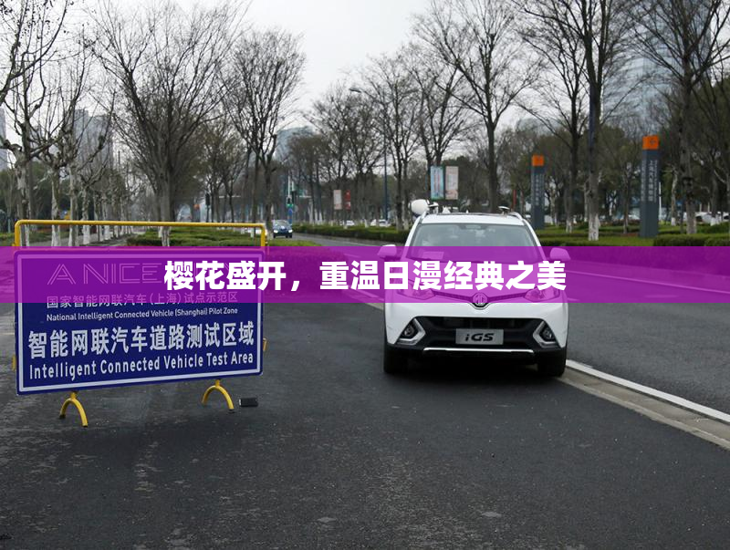 樱花盛开，重温日漫经典之美