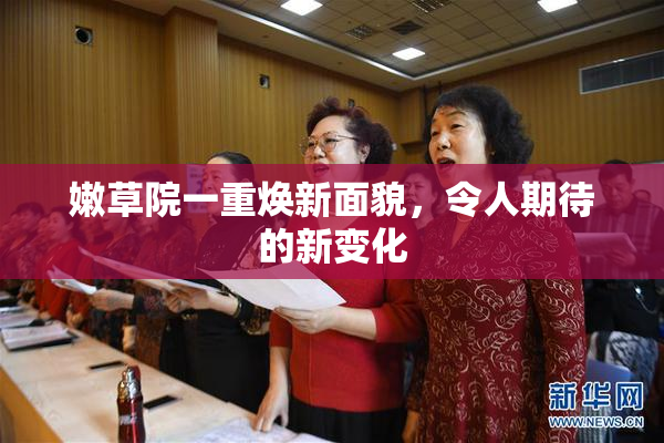 嫩草院一重焕新面貌，令人期待的新变化
