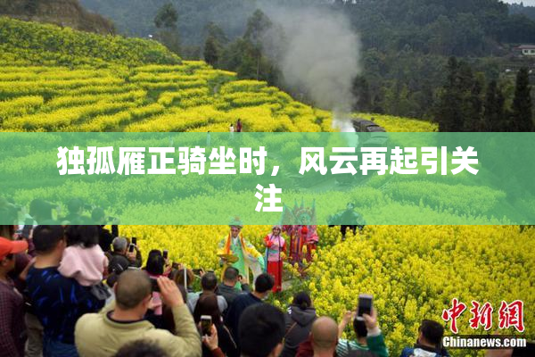 独孤雁正骑坐时，风云再起引关注