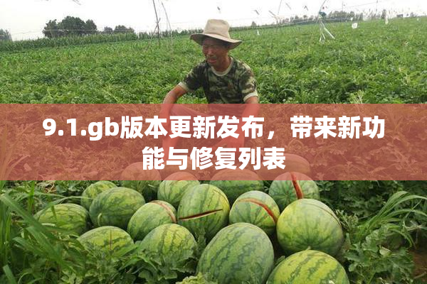 9.1.gb版本更新发布，带来新功能与修复列表
