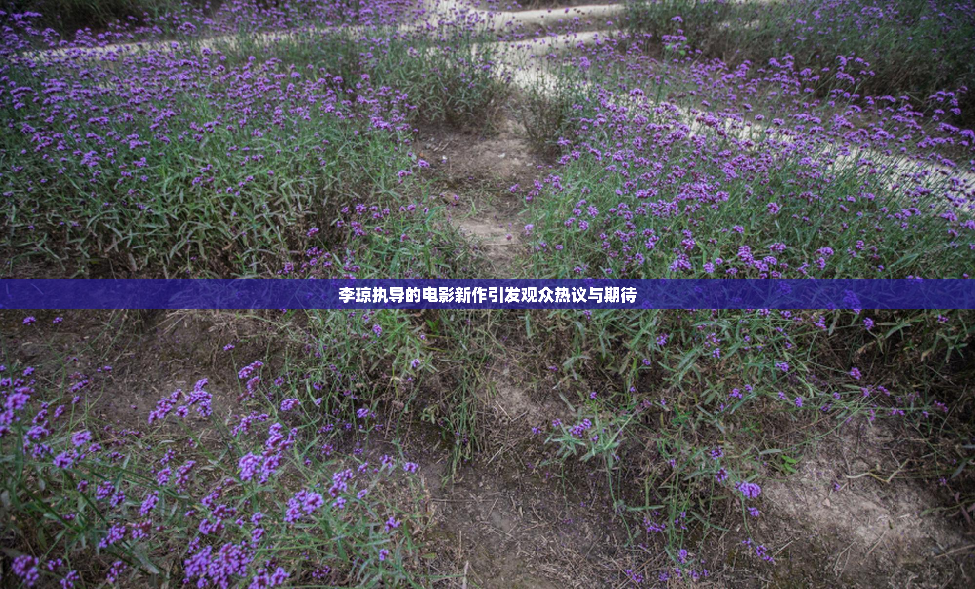 李琼执导的电影新作引发观众热议与期待