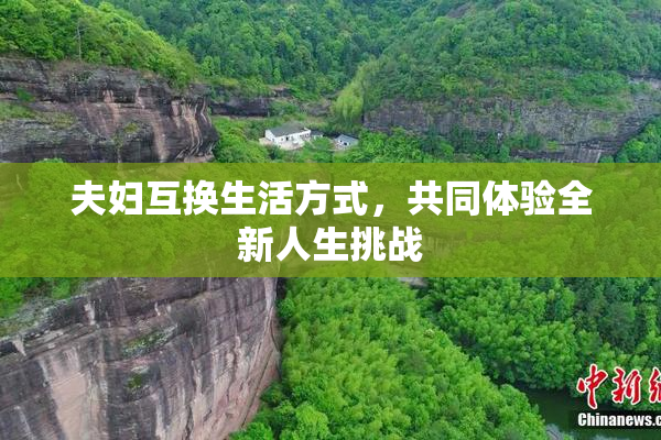 夫妇互换生活方式，共同体验全新人生挑战