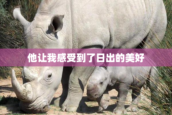 他让我感受到了日出的美好