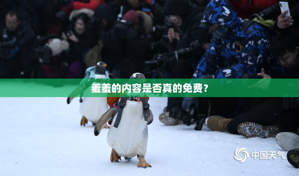 羞羞的内容是否真的免费？