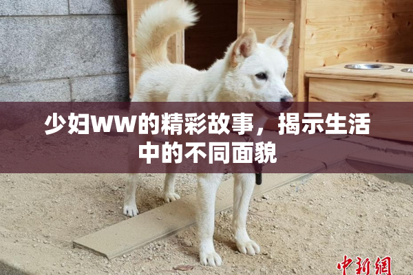 少妇WW的精彩故事，揭示生活中的不同面貌