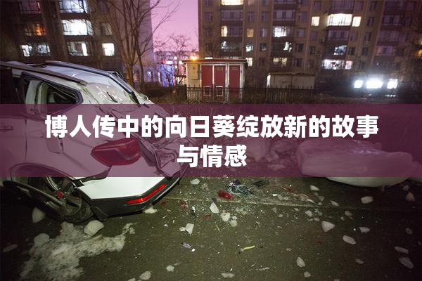 博人传中的向日葵绽放新的故事与情感