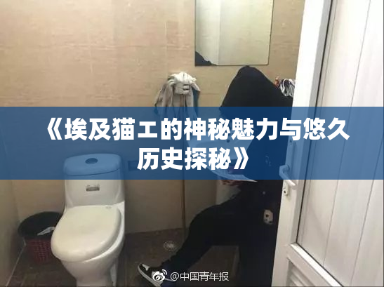 《埃及猫エ的神秘魅力与悠久历史探秘》