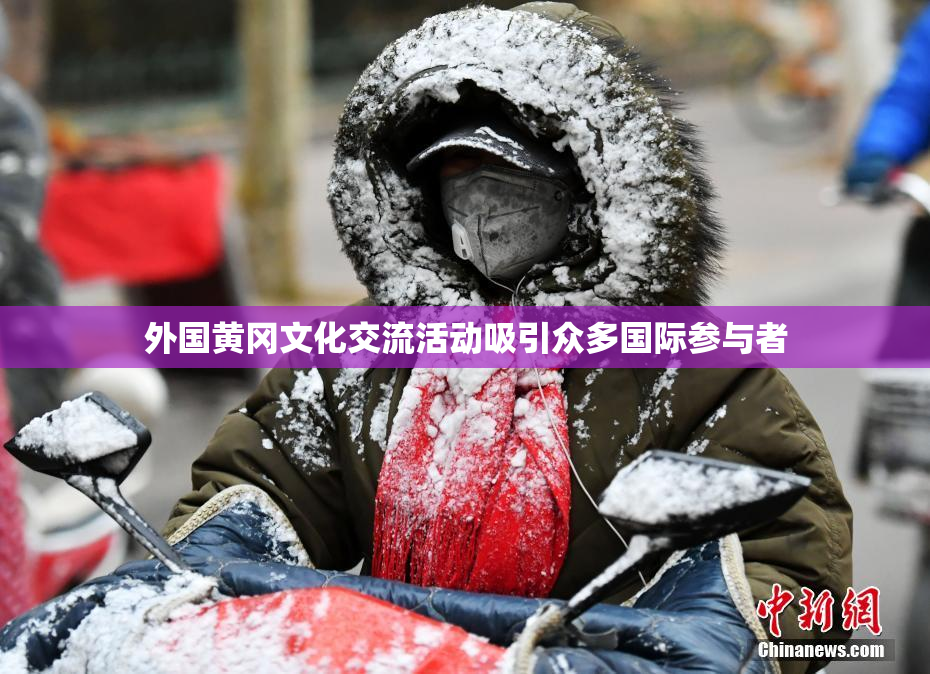 外国黄冈文化交流活动吸引众多国际参与者