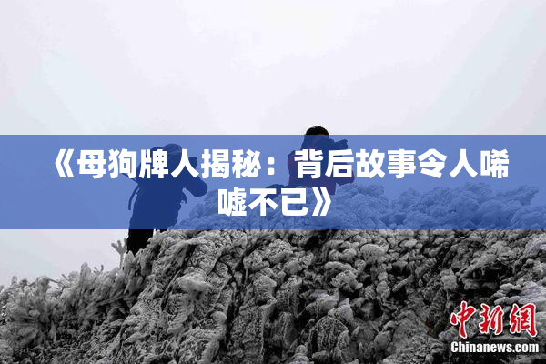 《母狗牌人揭秘：背后故事令人唏嘘不已》