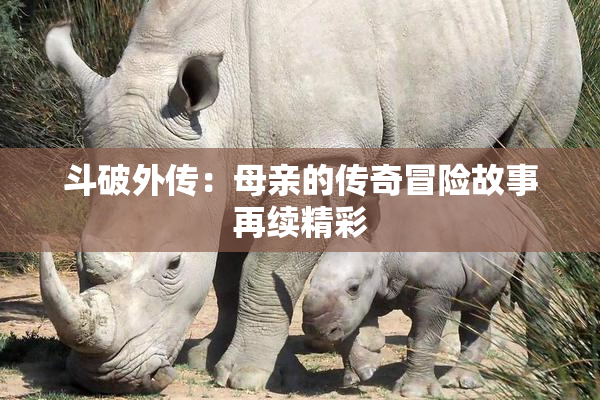 斗破外传：母亲的传奇冒险故事再续精彩