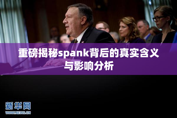 重磅揭秘spank背后的真实含义与影响分析
