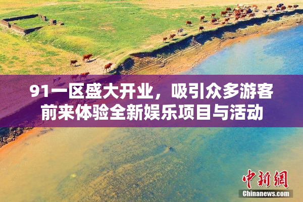 91一区盛大开业，吸引众多游客前来体验全新娱乐项目与活动