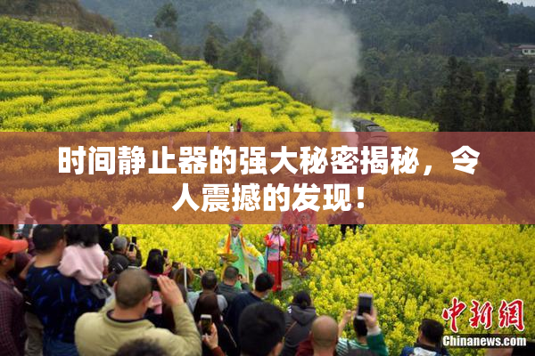 时间静止器的强大秘密揭秘，令人震撼的发现！