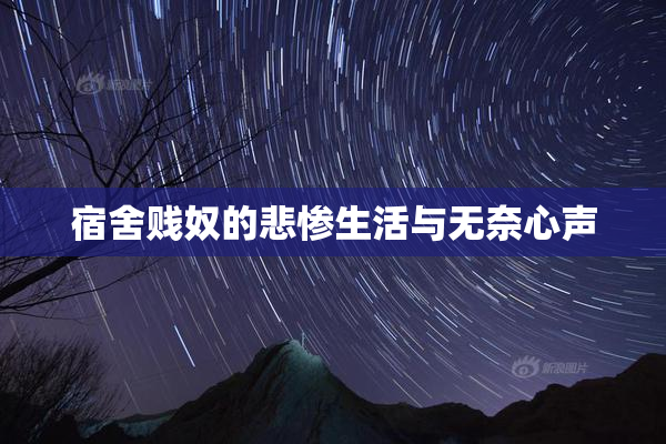宿舍贱奴的悲惨生活与无奈心声