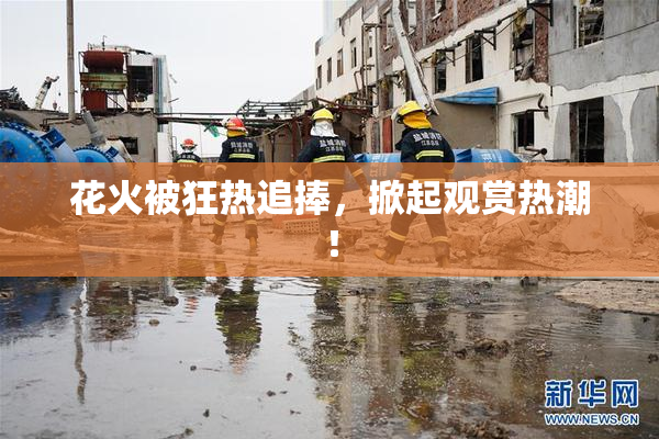 花火被狂热追捧，掀起观赏热潮！