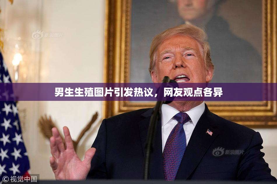 男生生殖图片引发热议，网友观点各异