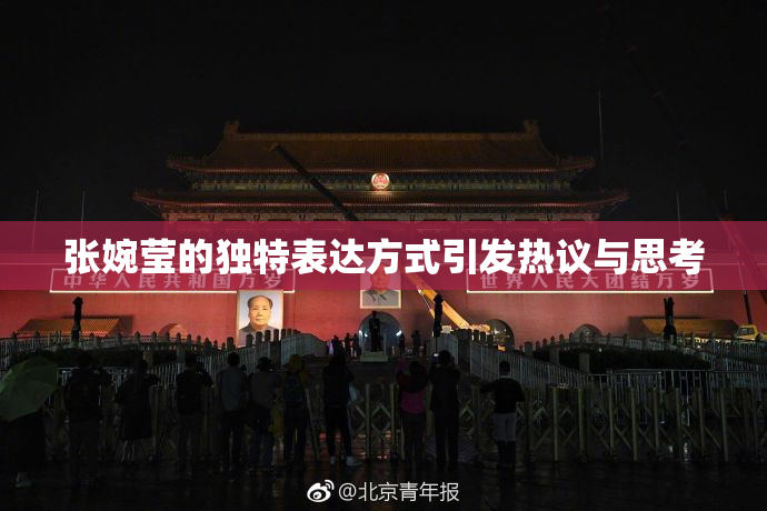 张婉莹的独特表达方式引发热议与思考