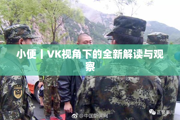 小便丨VK视角下的全新解读与观察