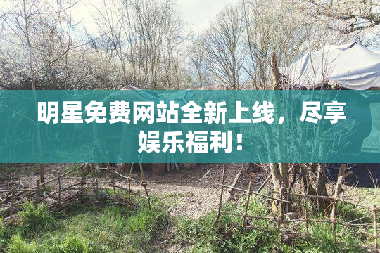 明星免费网站全新上线，尽享娱乐福利！