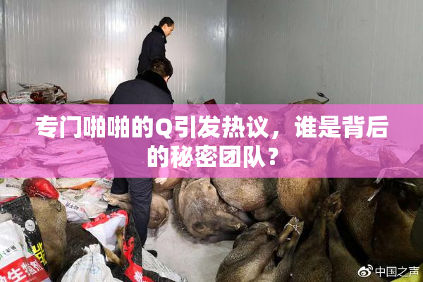 专门啪啪的Q引发热议，谁是背后的秘密团队？
