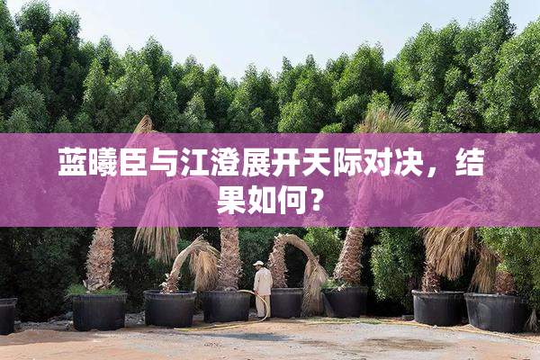 蓝曦臣与江澄展开天际对决，结果如何？