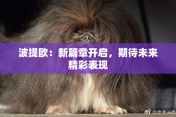 波提欧：新篇章开启，期待未来精彩表现