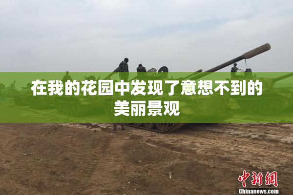 在我的花园中发现了意想不到的美丽景观