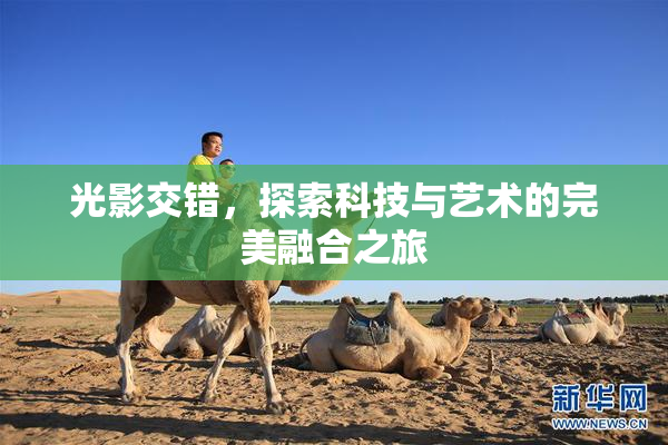 光影交错，探索科技与艺术的完美融合之旅