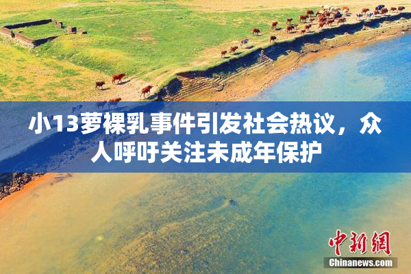 小13萝裸乳事件引发社会热议，众人呼吁关注未成年保护