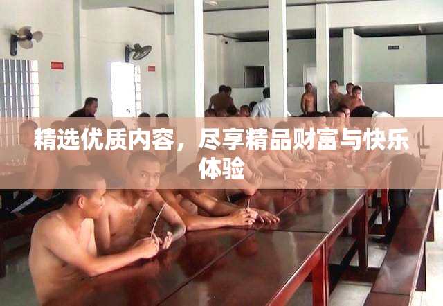 精选优质内容，尽享精品财富与快乐体验