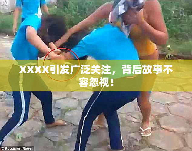 XXXX引发广泛关注，背后故事不容忽视！