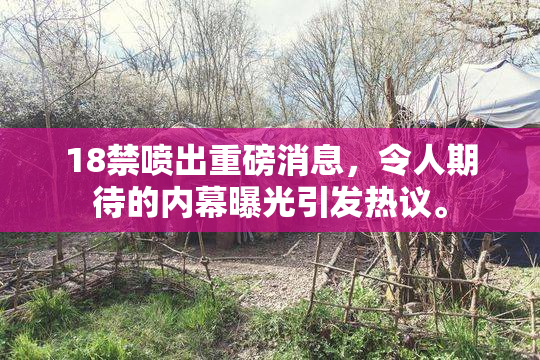 18禁喷出重磅消息，令人期待的内幕曝光引发热议。
