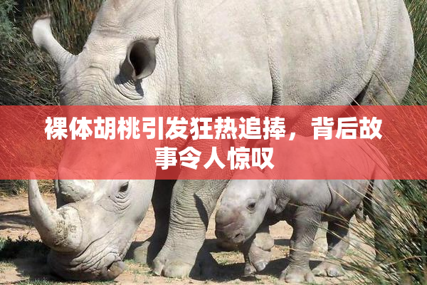 裸体胡桃引发狂热追捧，背后故事令人惊叹