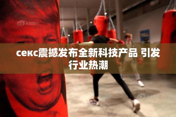 ceкс震撼发布全新科技产品 引发行业热潮