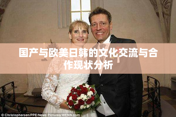 国产与欧美日韩的文化交流与合作现状分析