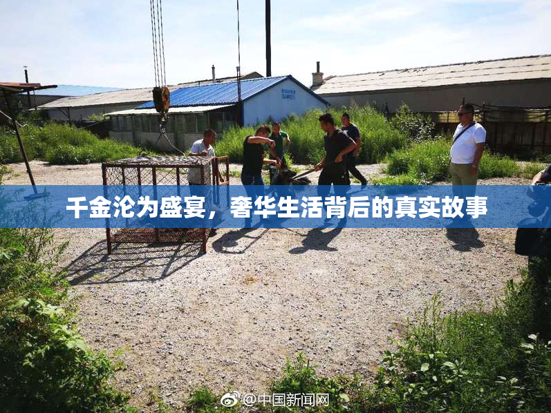 千金沦为盛宴，奢华生活背后的真实故事