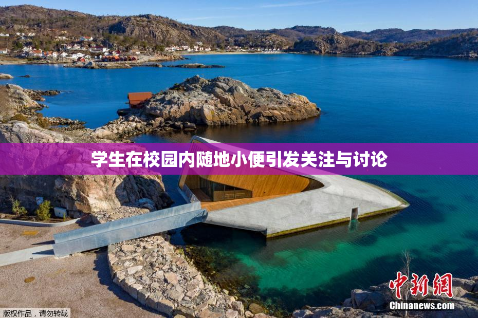 学生在校园内随地小便引发关注与讨论