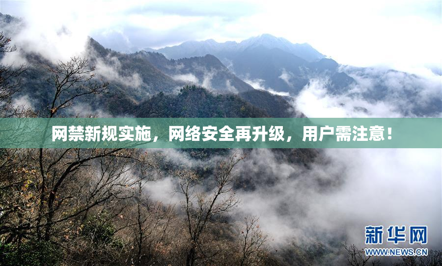 网禁新规实施，网络安全再升级，用户需注意！