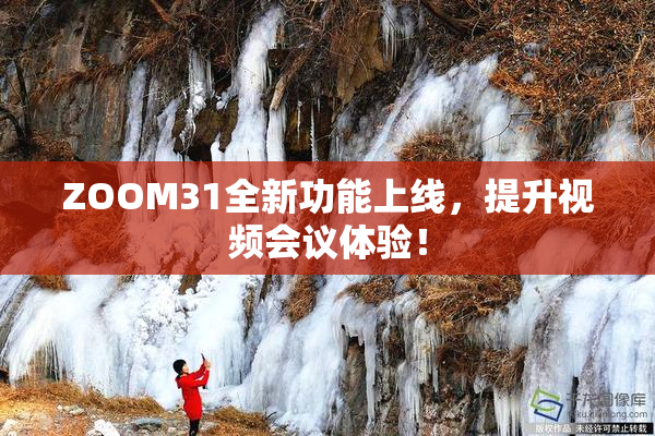 ZOOM31全新功能上线，提升视频会议体验！