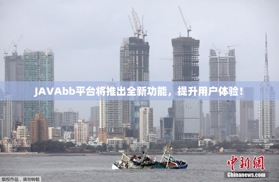 JAVAbb平台将推出全新功能，提升用户体验！