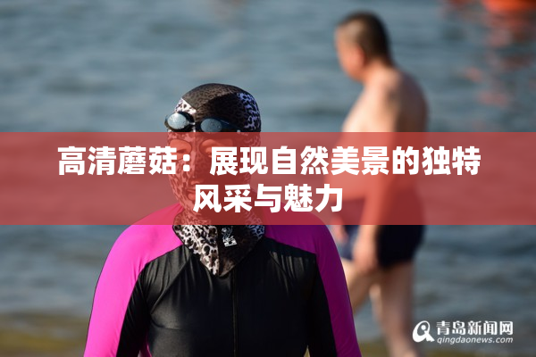 高清蘑菇：展现自然美景的独特风采与魅力
