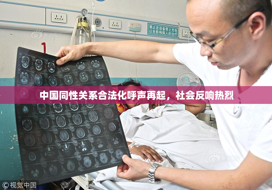 中国同性关系合法化呼声再起，社会反响热烈