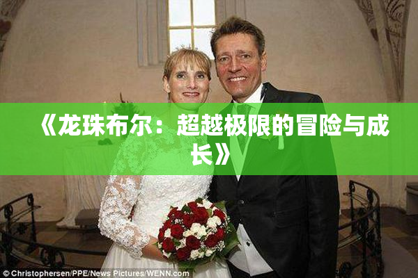 《龙珠布尔：超越极限的冒险与成长》
