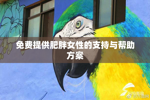 免费提供肥胖女性的支持与帮助方案