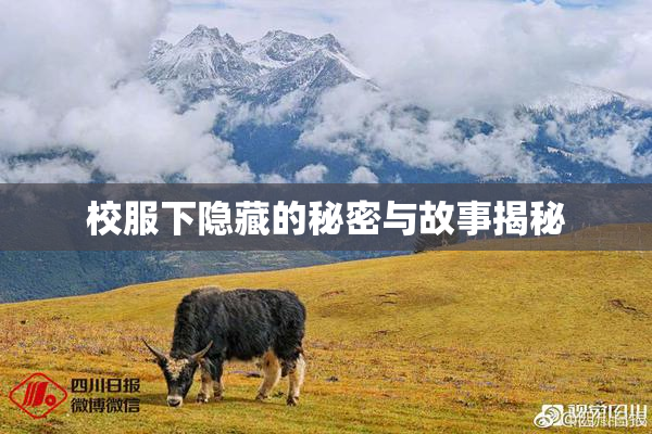 校服下隐藏的秘密与故事揭秘