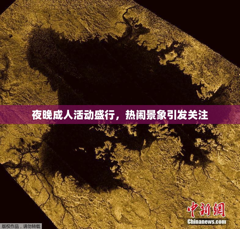 夜晚成人活动盛行，热闹景象引发关注
