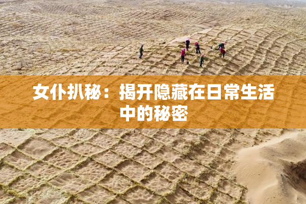 女仆扒秘：揭开隐藏在日常生活中的秘密